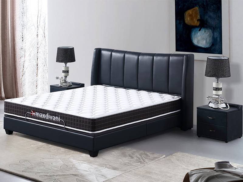 New Design Adjustable Bed Electric Bed F27#